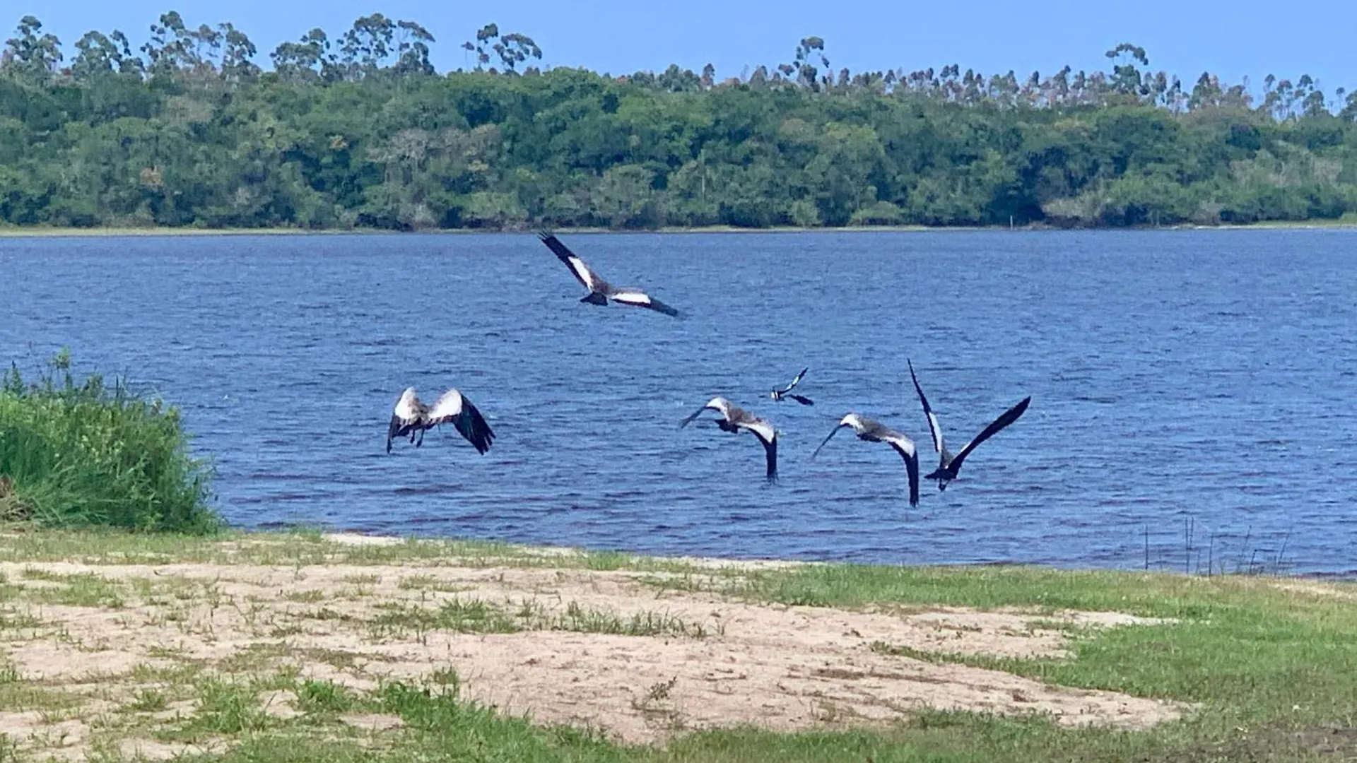 Casa Dos Girassois Na Lagoa Araranguá